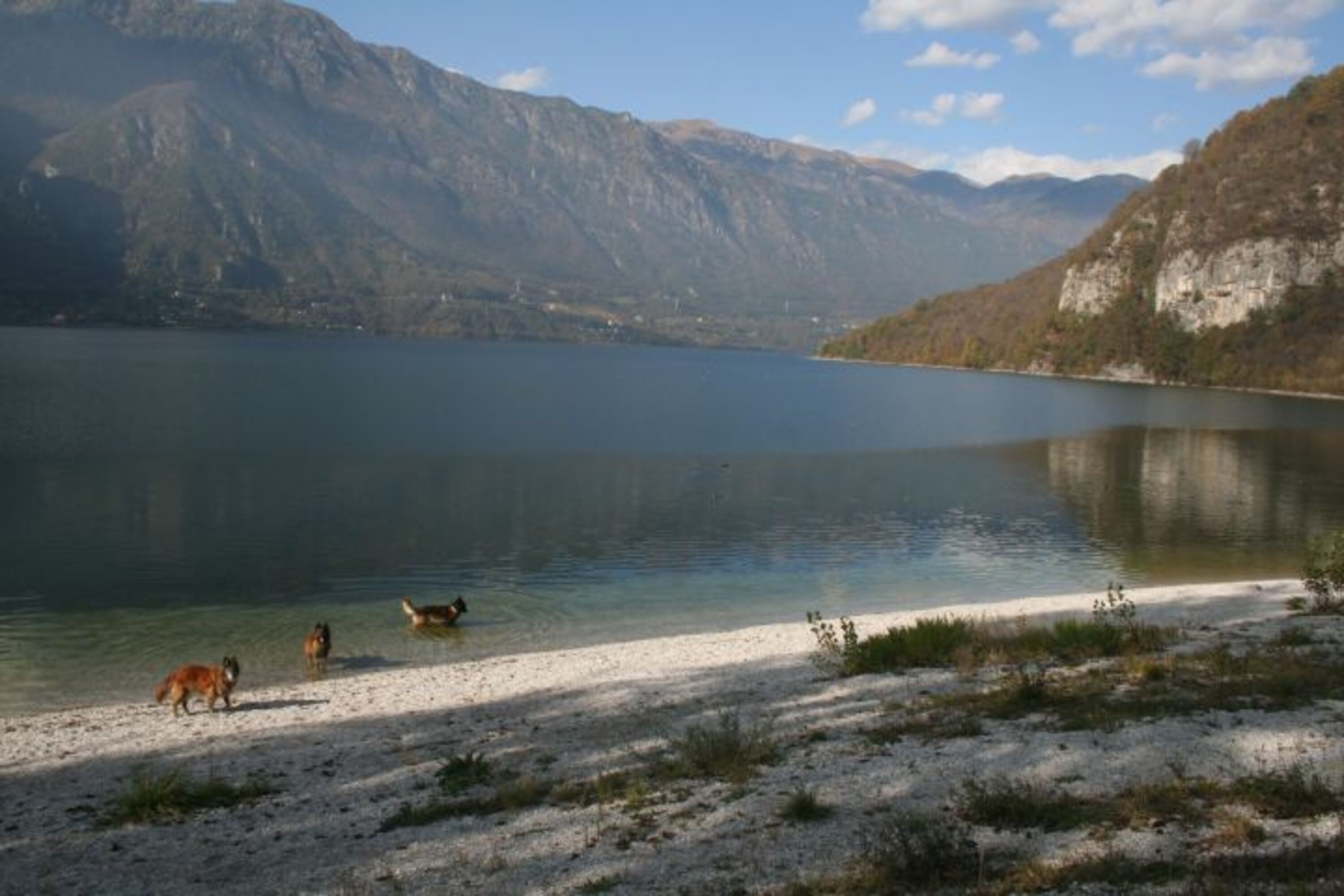 der Strand in Vesta