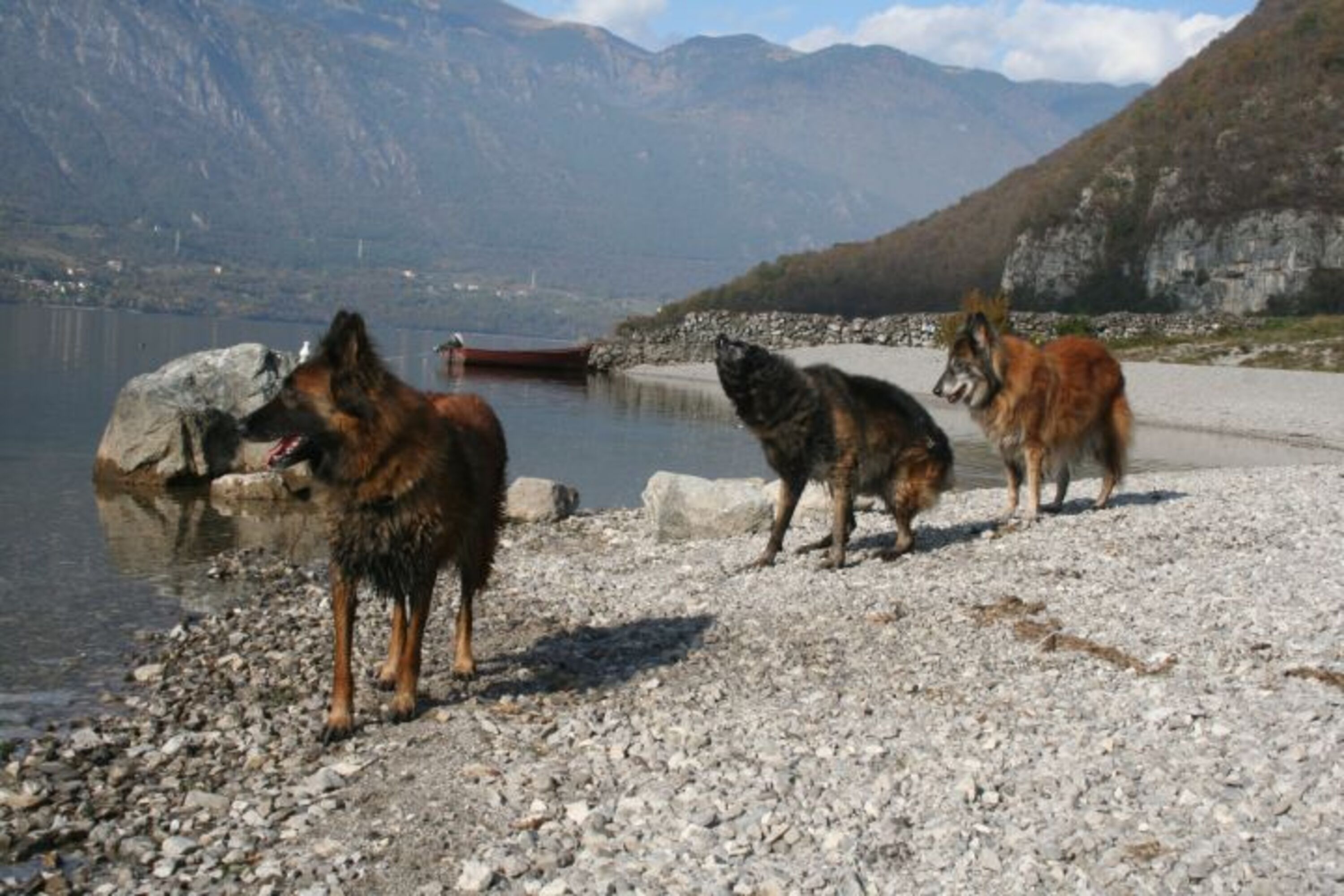 der Strand in Vesta