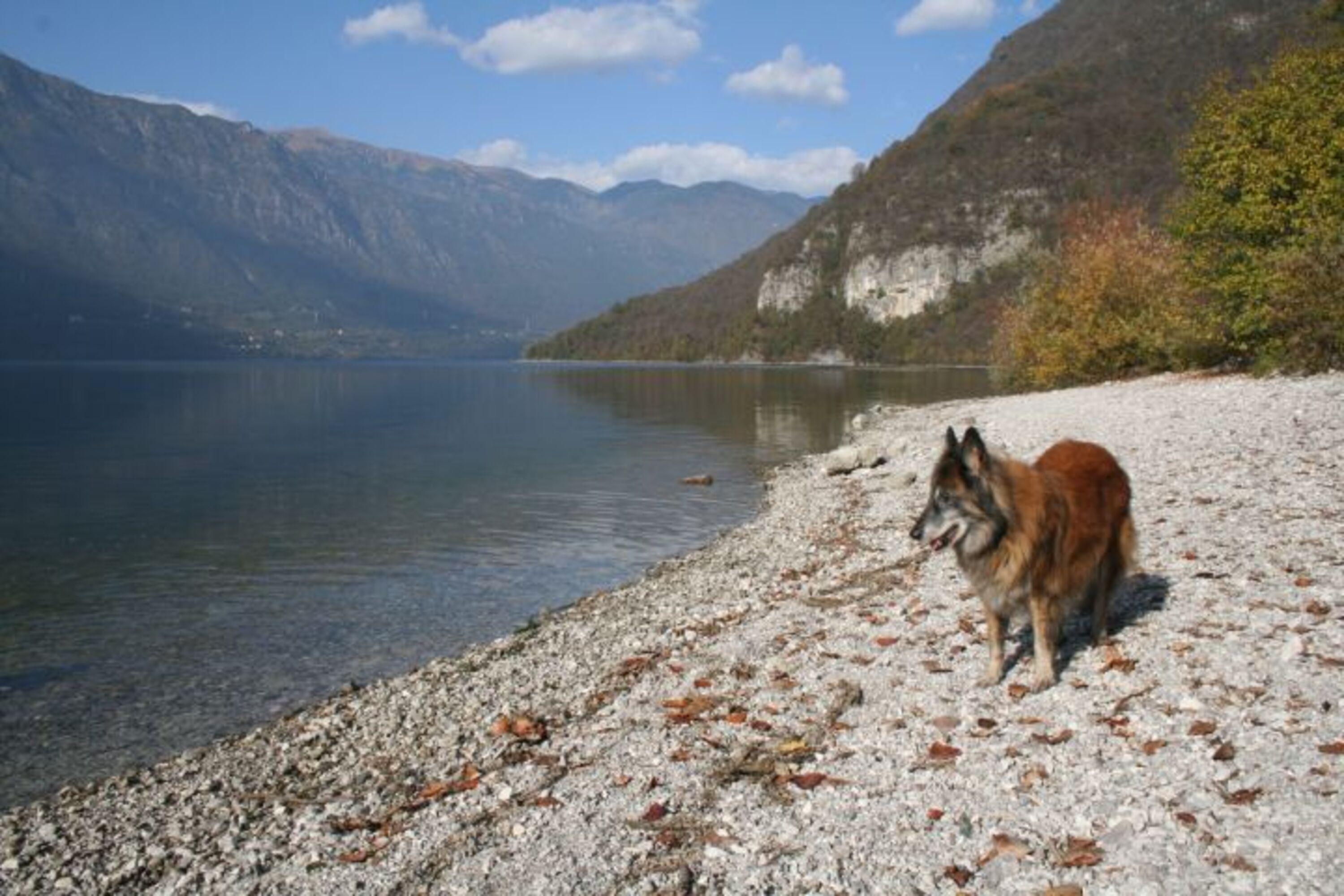der Strand in Vesta
