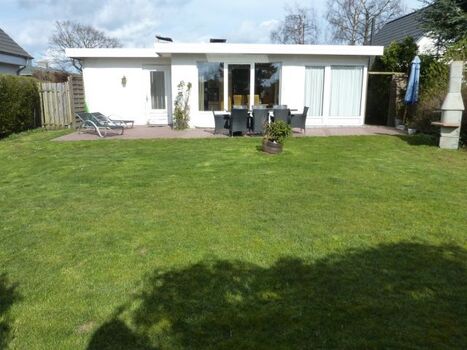 Terrasse und Garten Lachmöwe