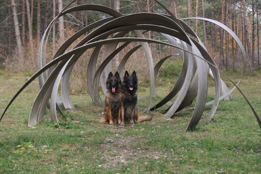 Wanderweg "LedroLandArt"