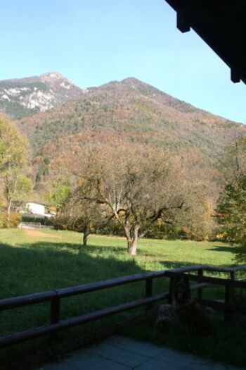 ca. 140 cm hoch eingezäunter Garten 