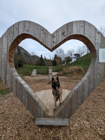 Hunde sind herzlich willkommen