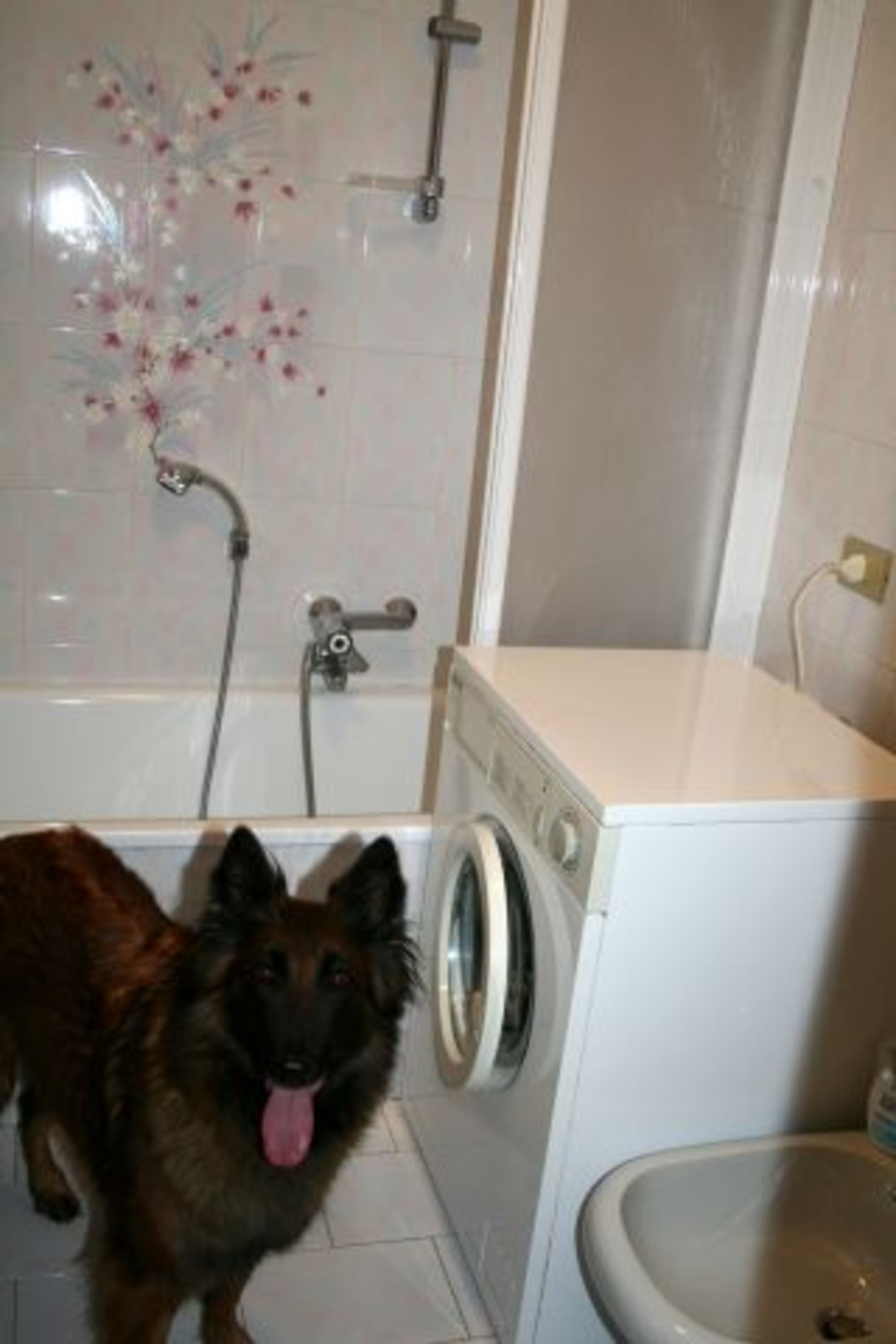 Badezimmer mit Waschmaschine
