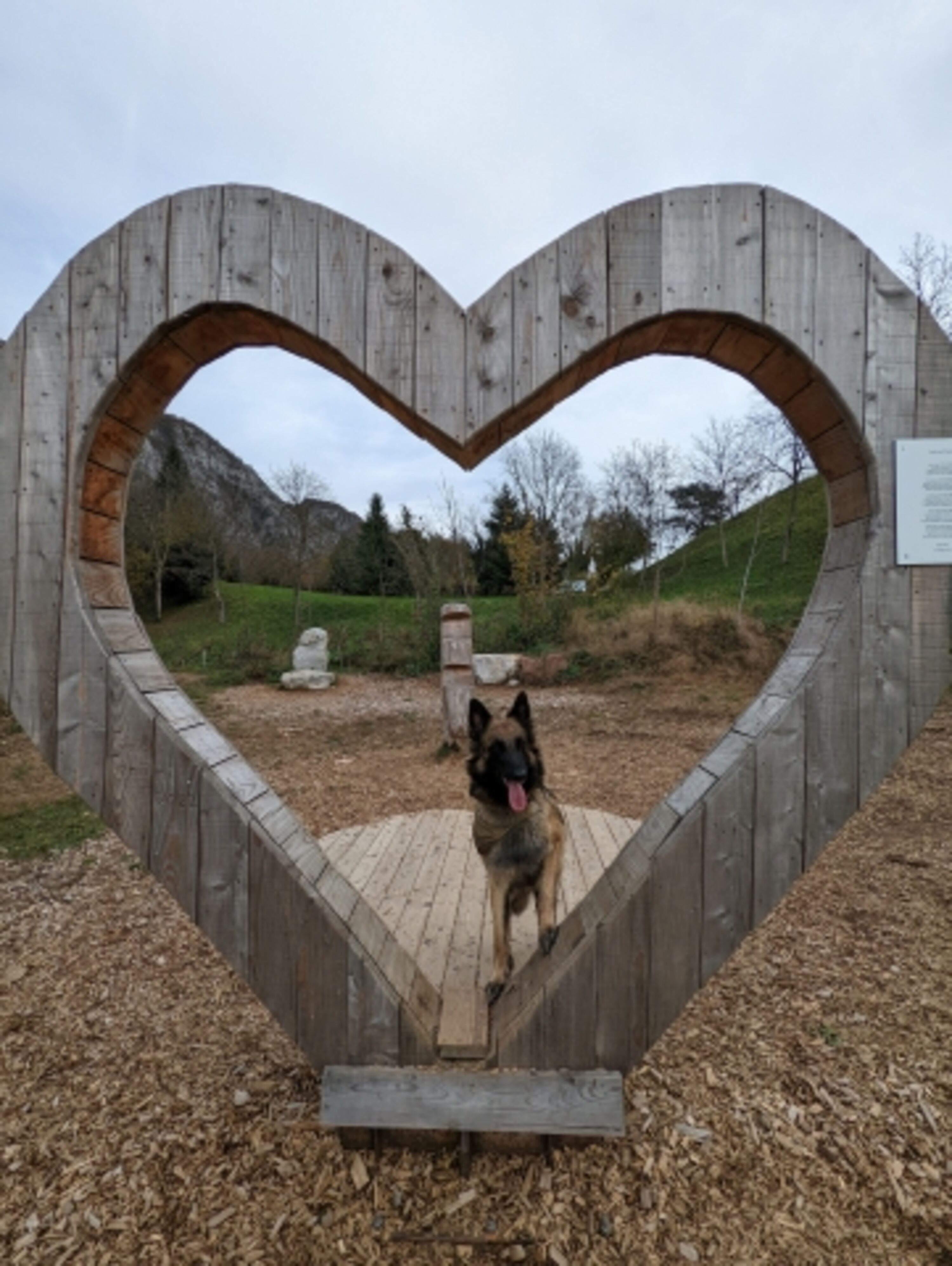 Hunde sind herzlich willkommen