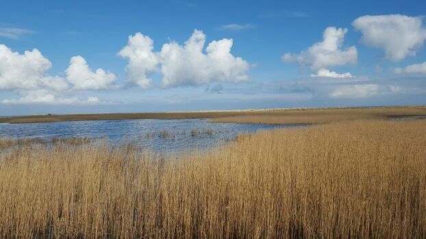 Naturschutzgebiet Schillig