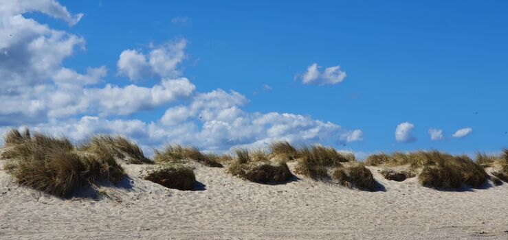 weite Dünenlandschaft