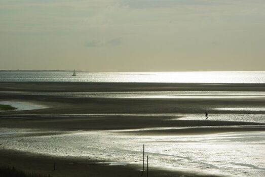 Wattenmeer im Abendlicht
