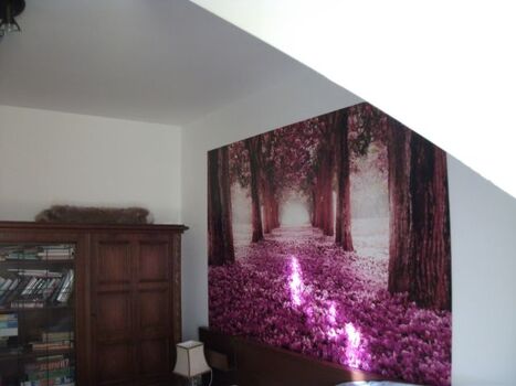 Schlafzimmer mit Ausgang zu Terasse OG