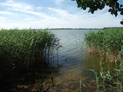 Wasserzugang zum See