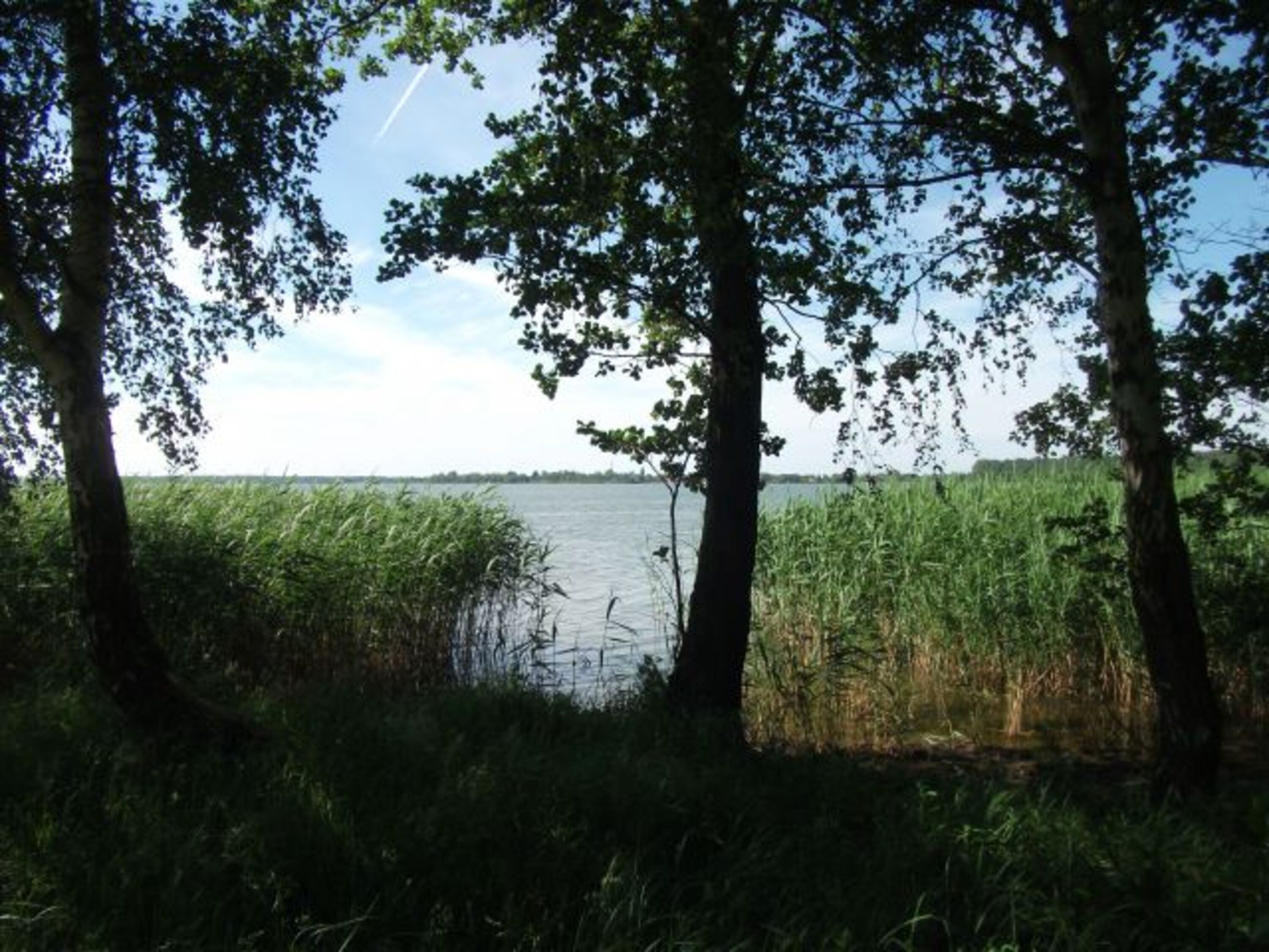 Wasserzugang am See