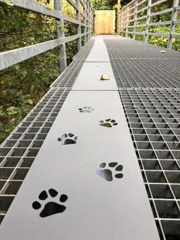 DOGWALK zum Eingangstor über den Steg