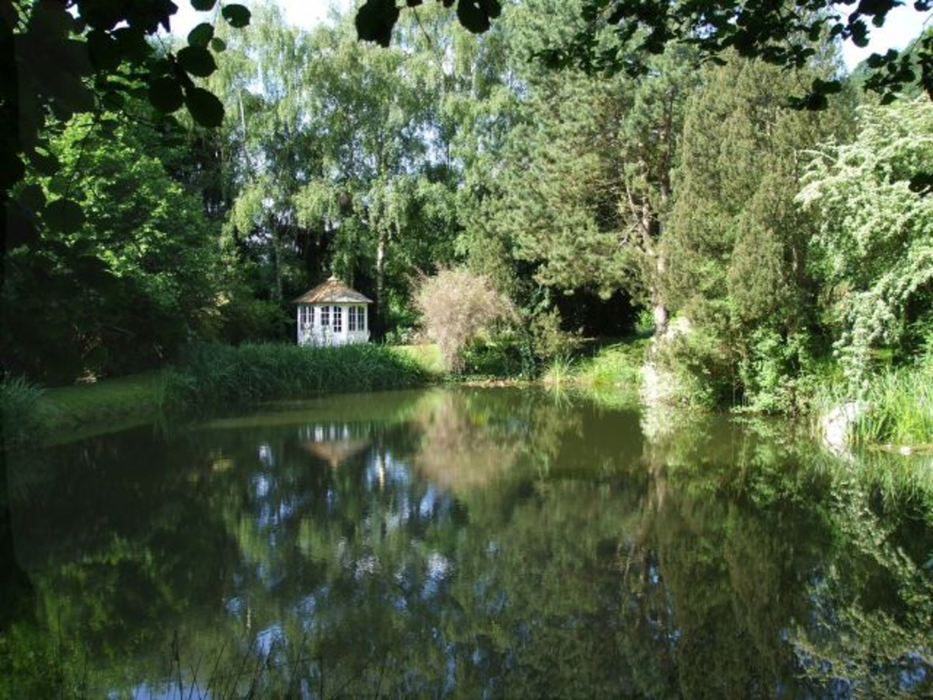 am Teich