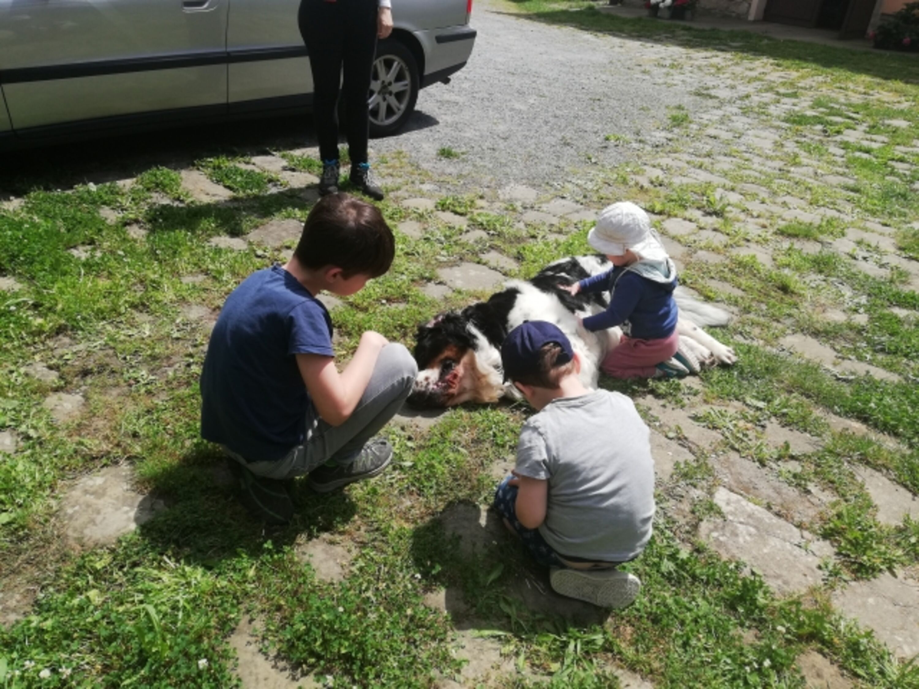 Bild 9