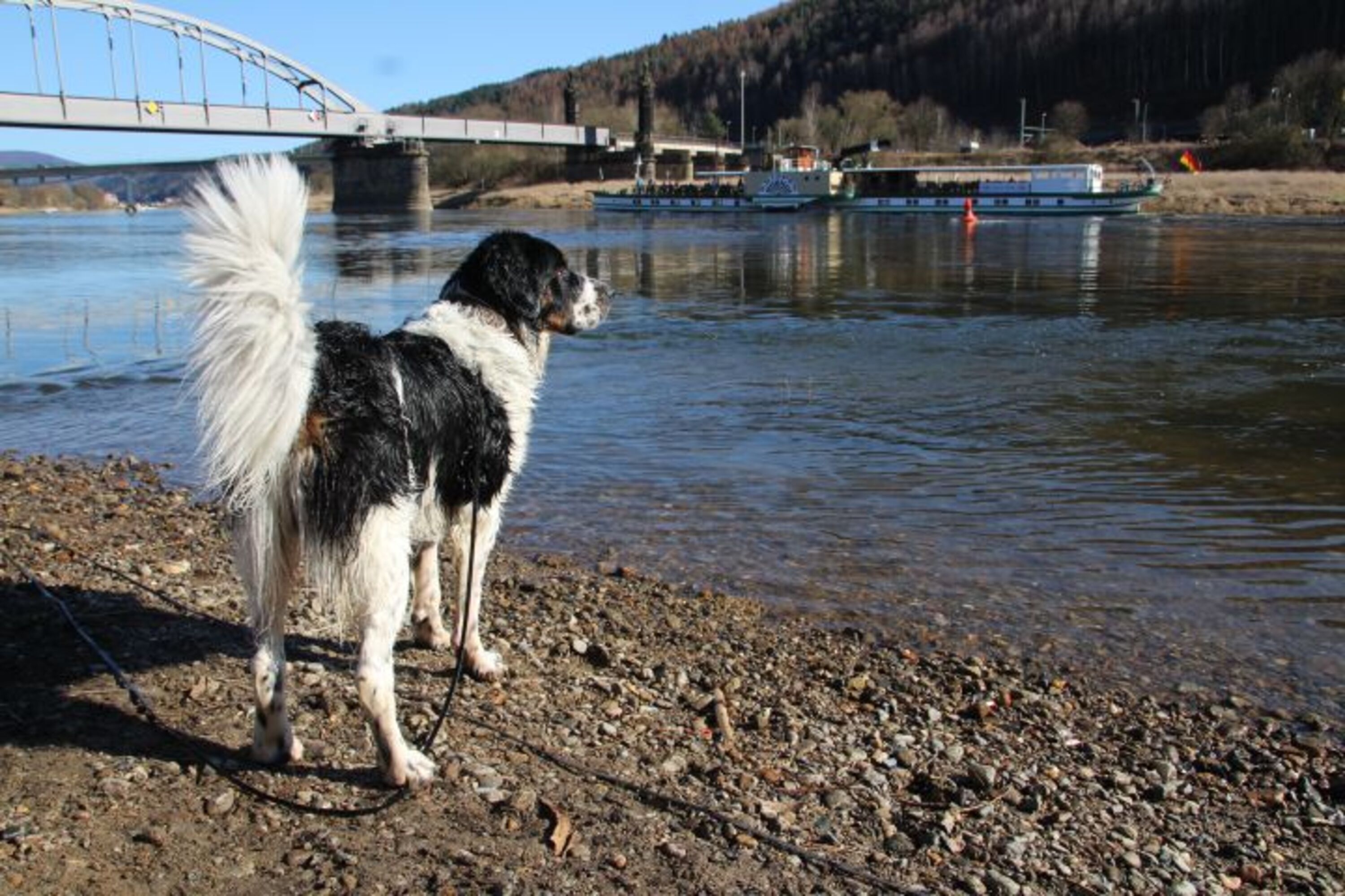 Bild 19