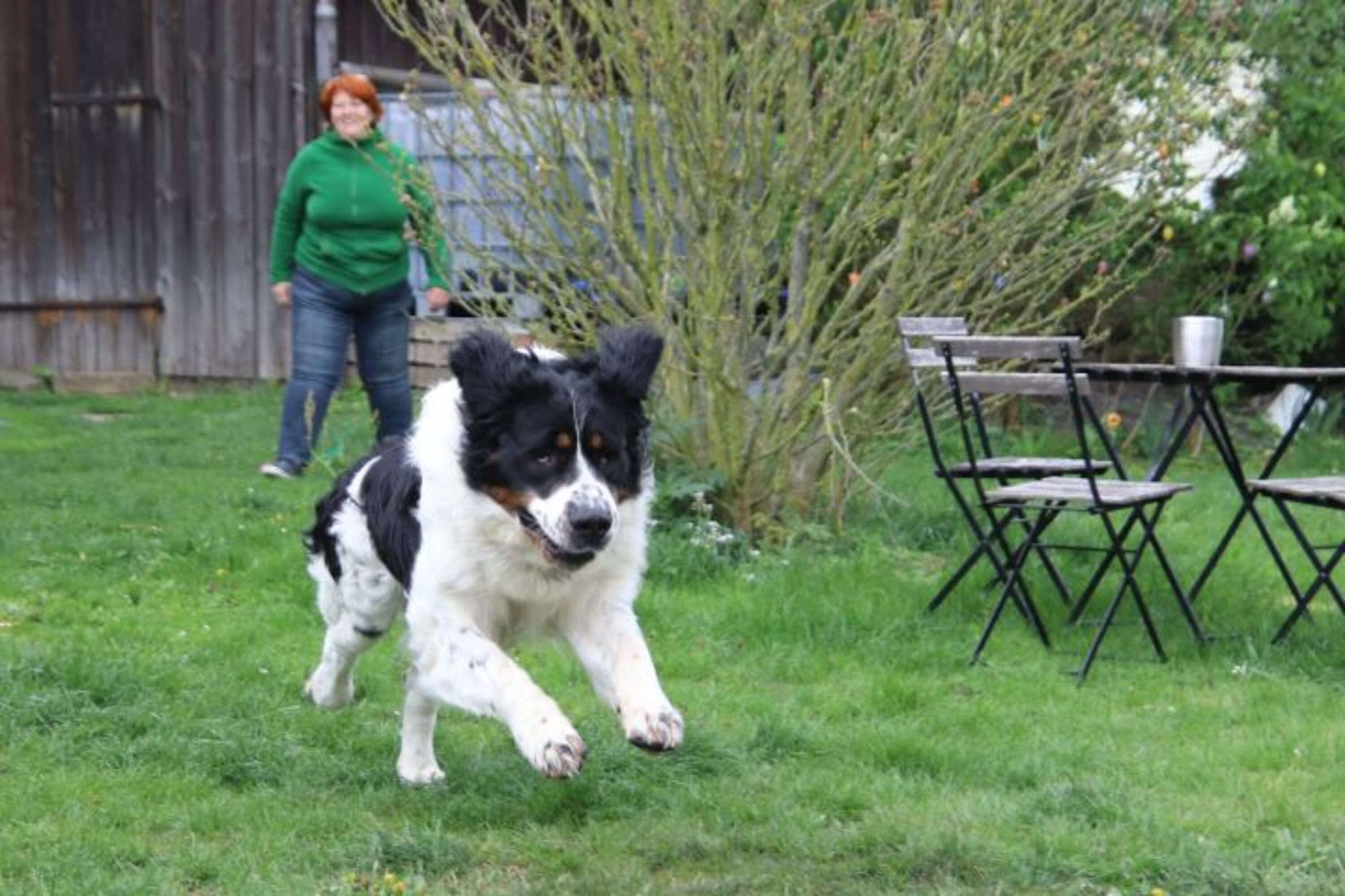 Bild 5