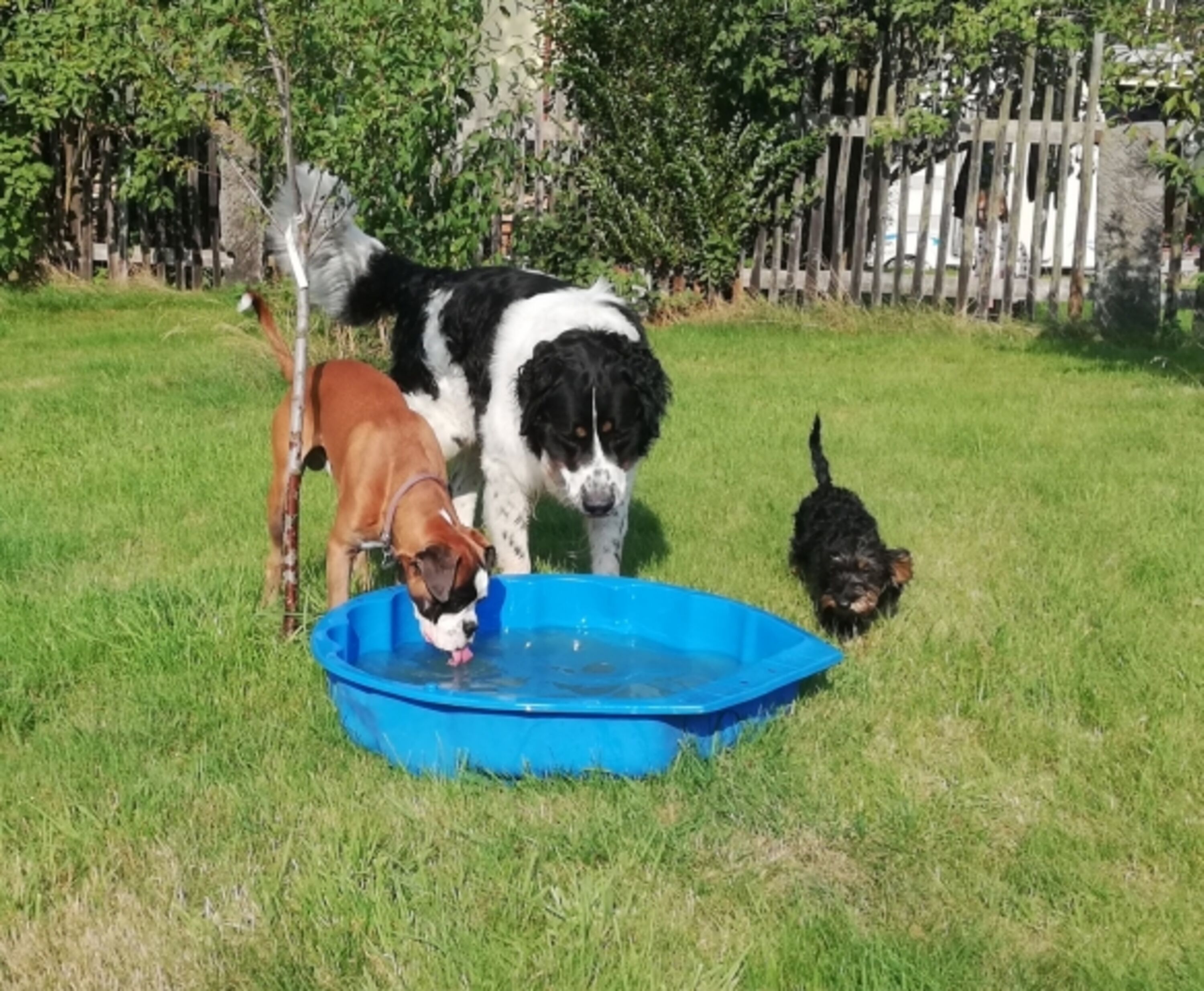 Best Friends