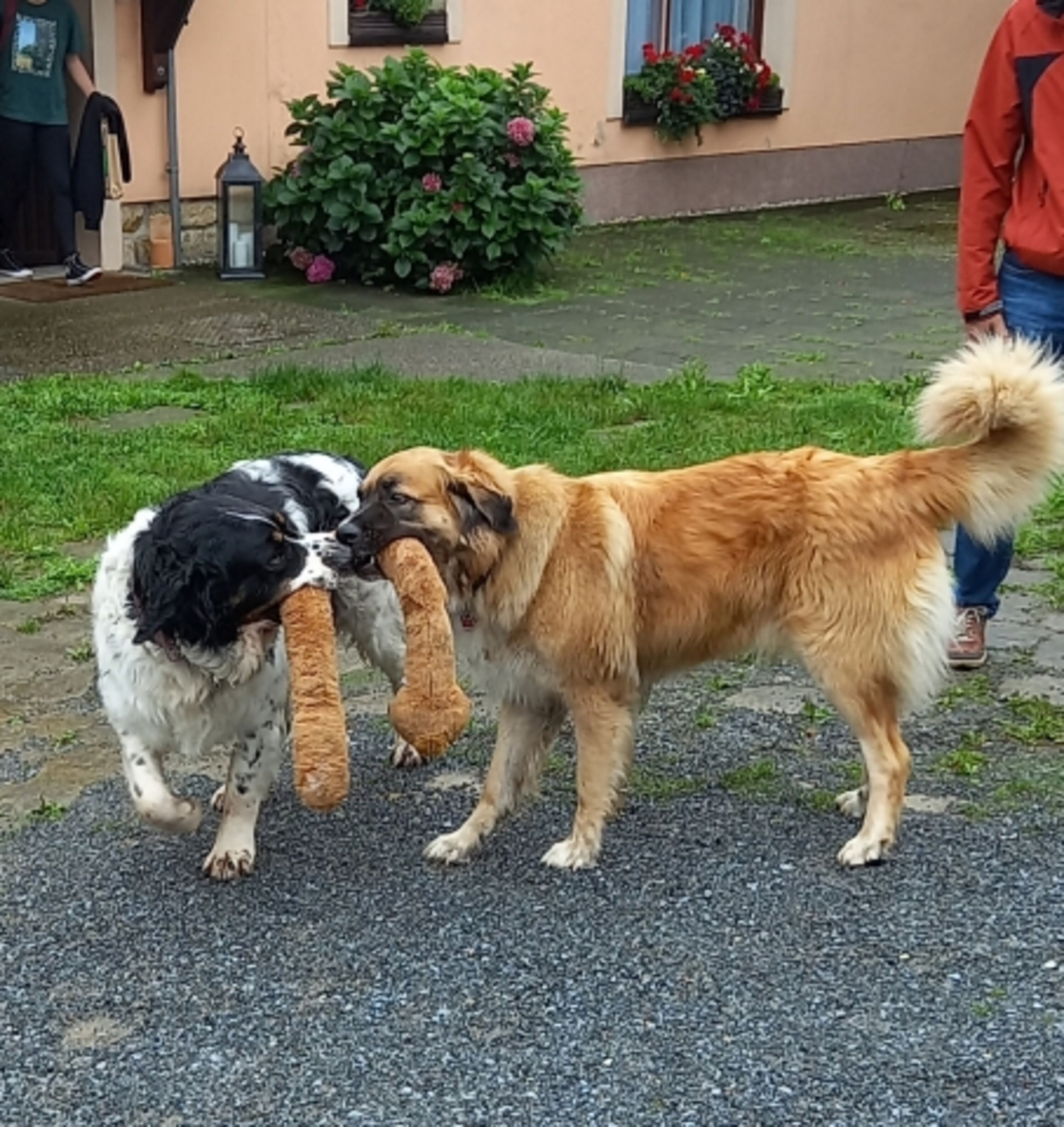 Bild 28