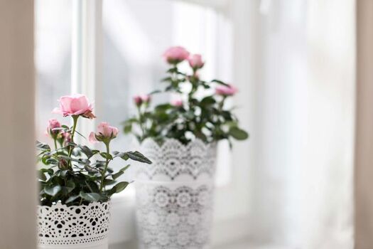 Wir lieben das Hafennest