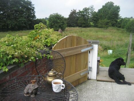 Stilleben mit verwunschenem Prinz und Hund