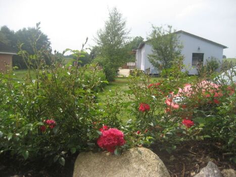 so schön grün und blühend 