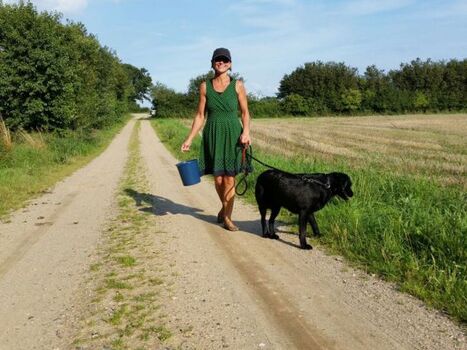 Brombeeren sammeln rund um Bullerby 