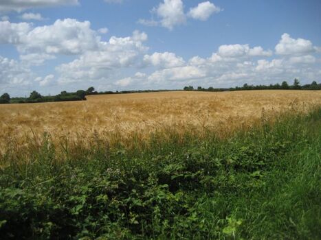 Wow Felder und Wiesen rundherum bis zum Horizont