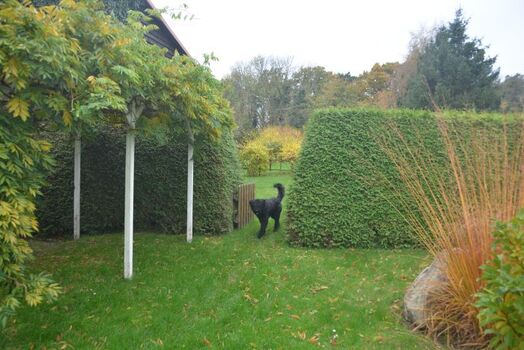 Gartenbereich der Wohnung