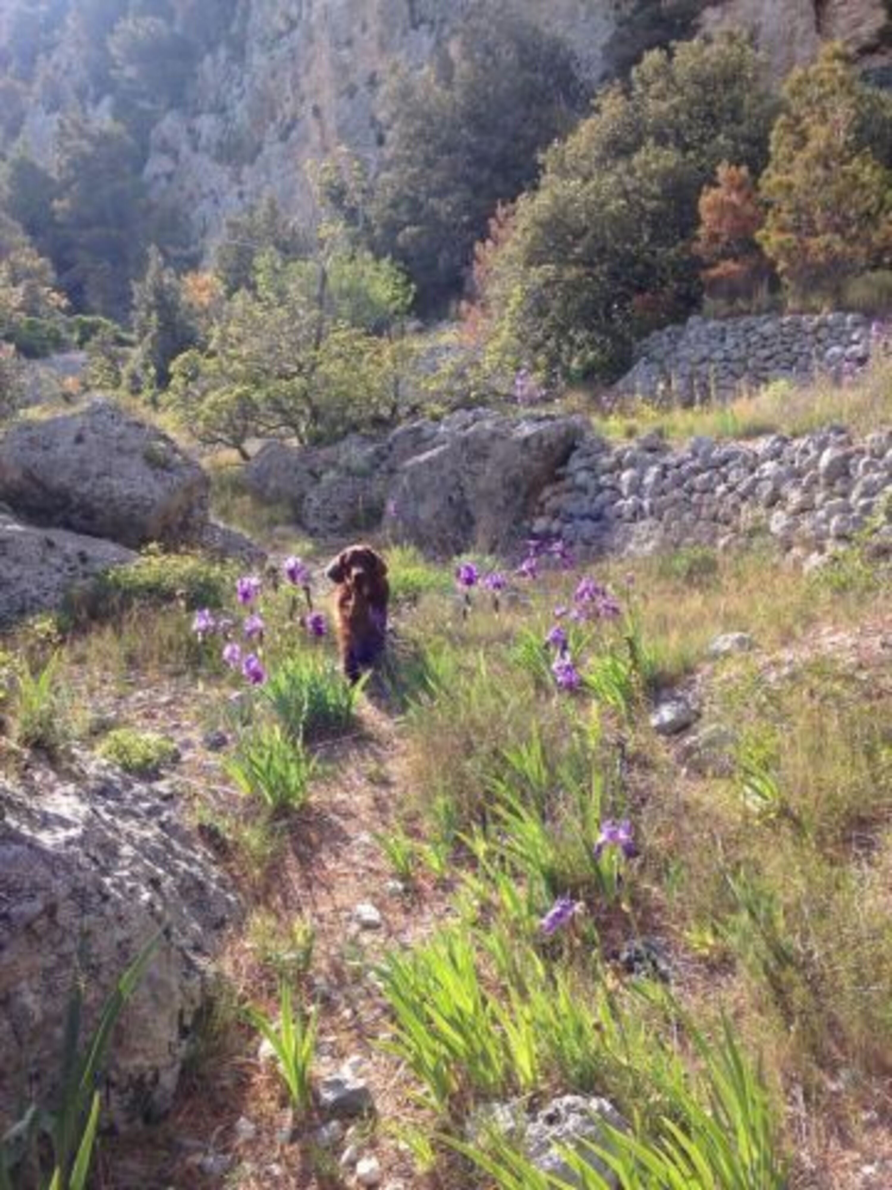 Wandern im Biokovo