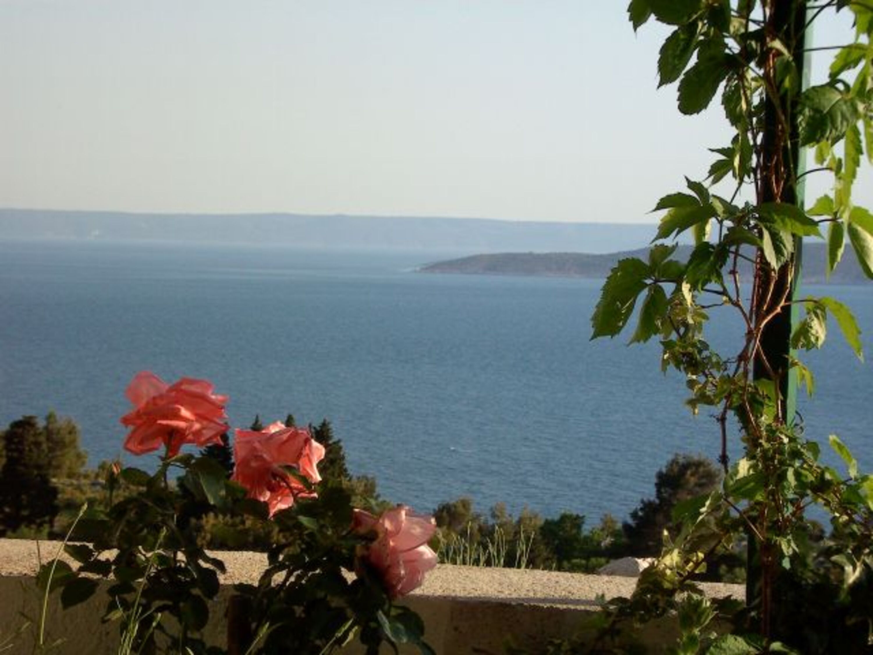 Blick von der Terrasse