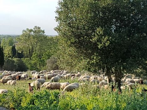 Grundstück vor dem Haus