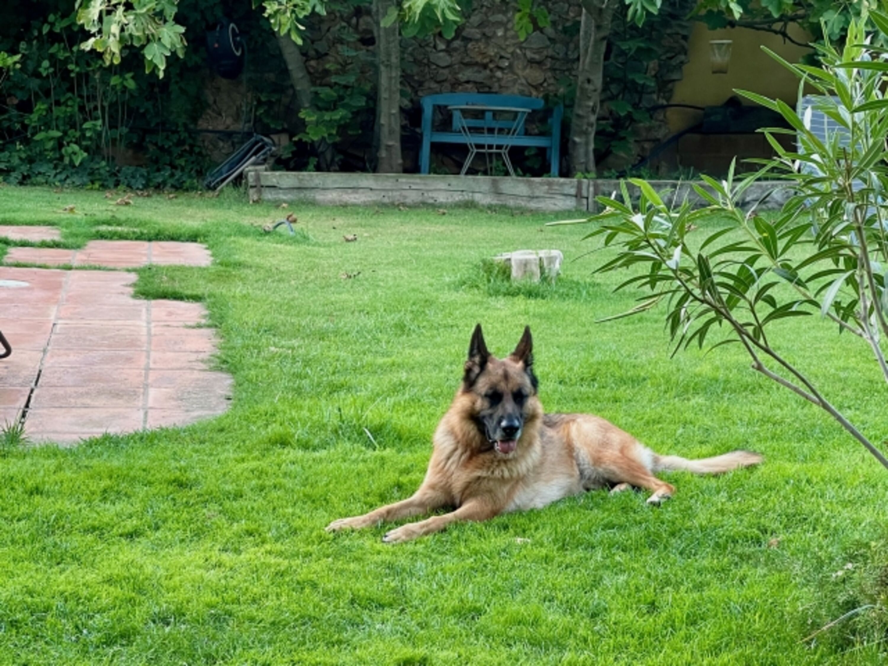 Garten