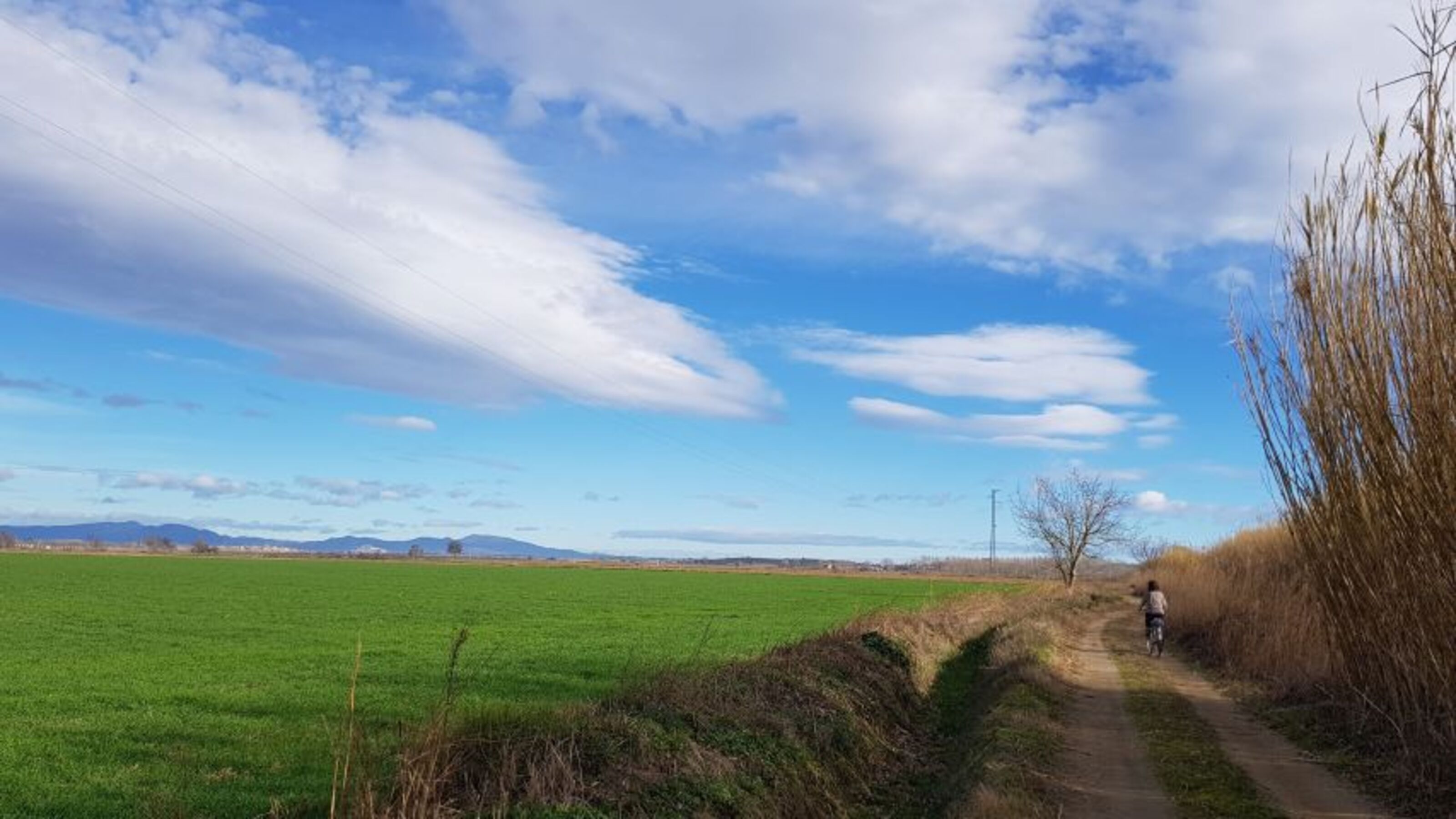 Landschaft