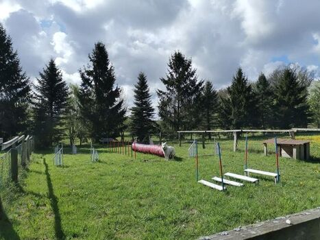 eingezäunter Agility-Platz