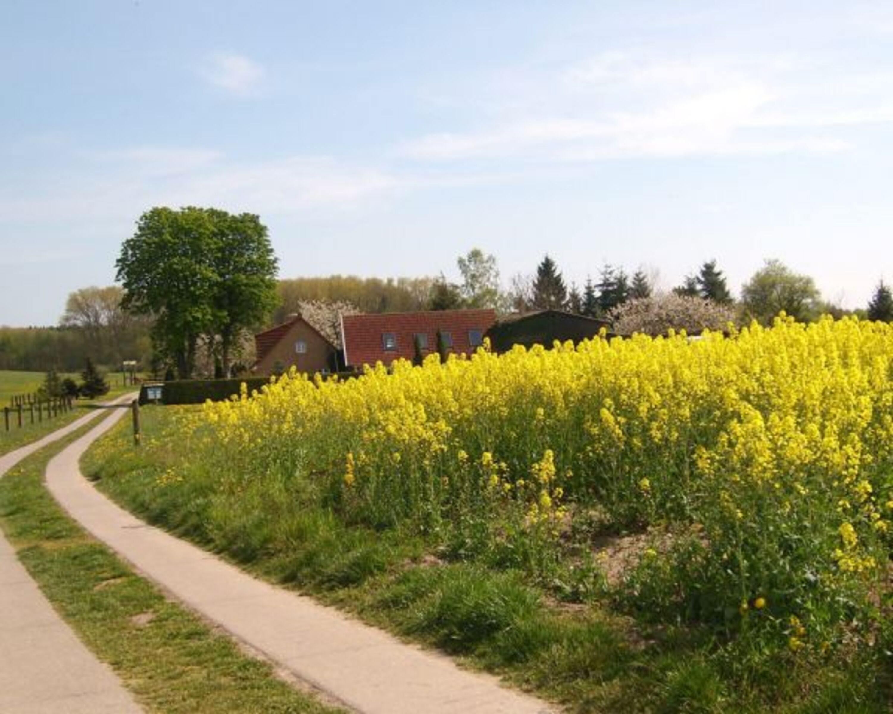 Blick auf den Hof