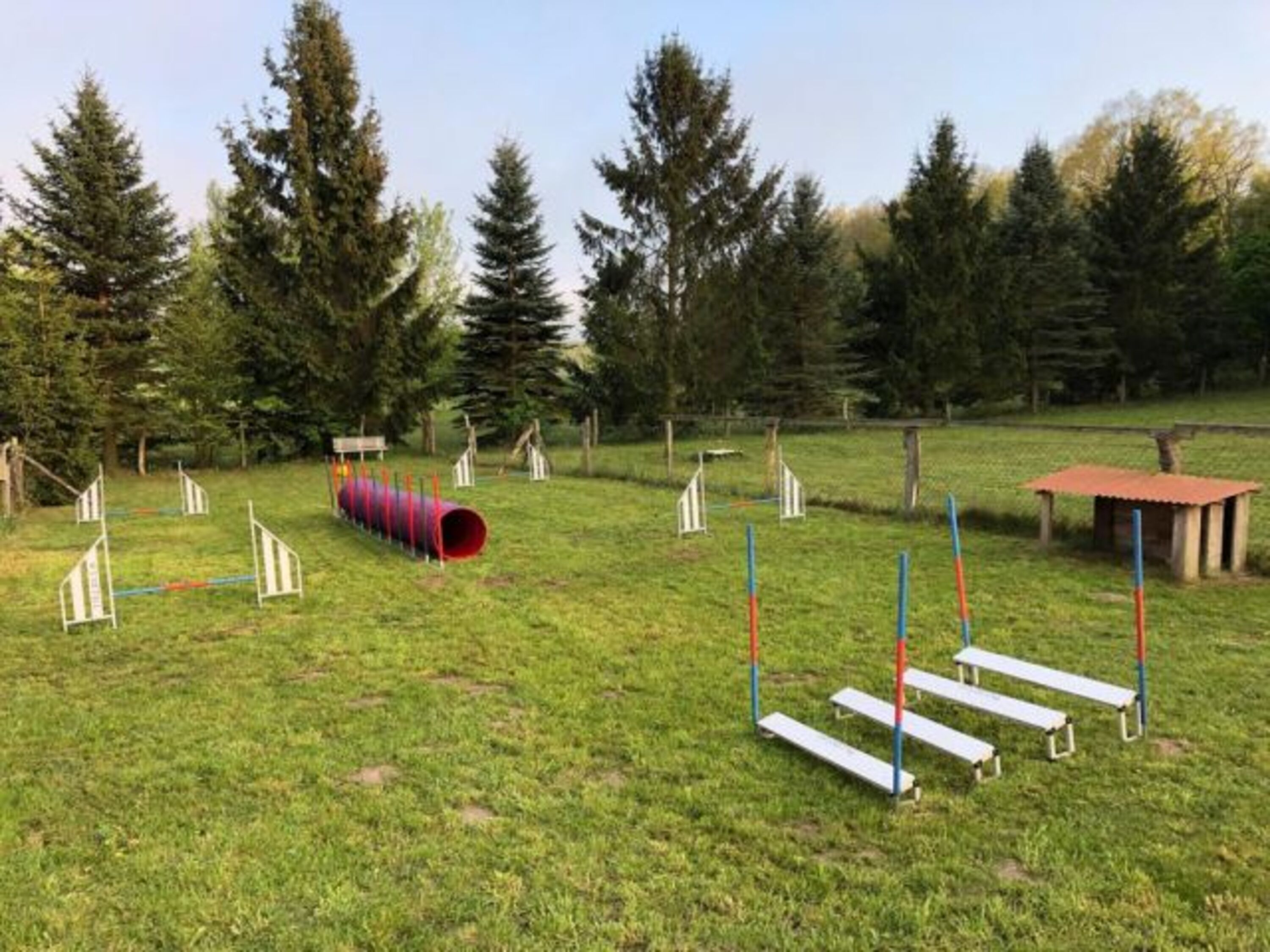 Agility-Platz