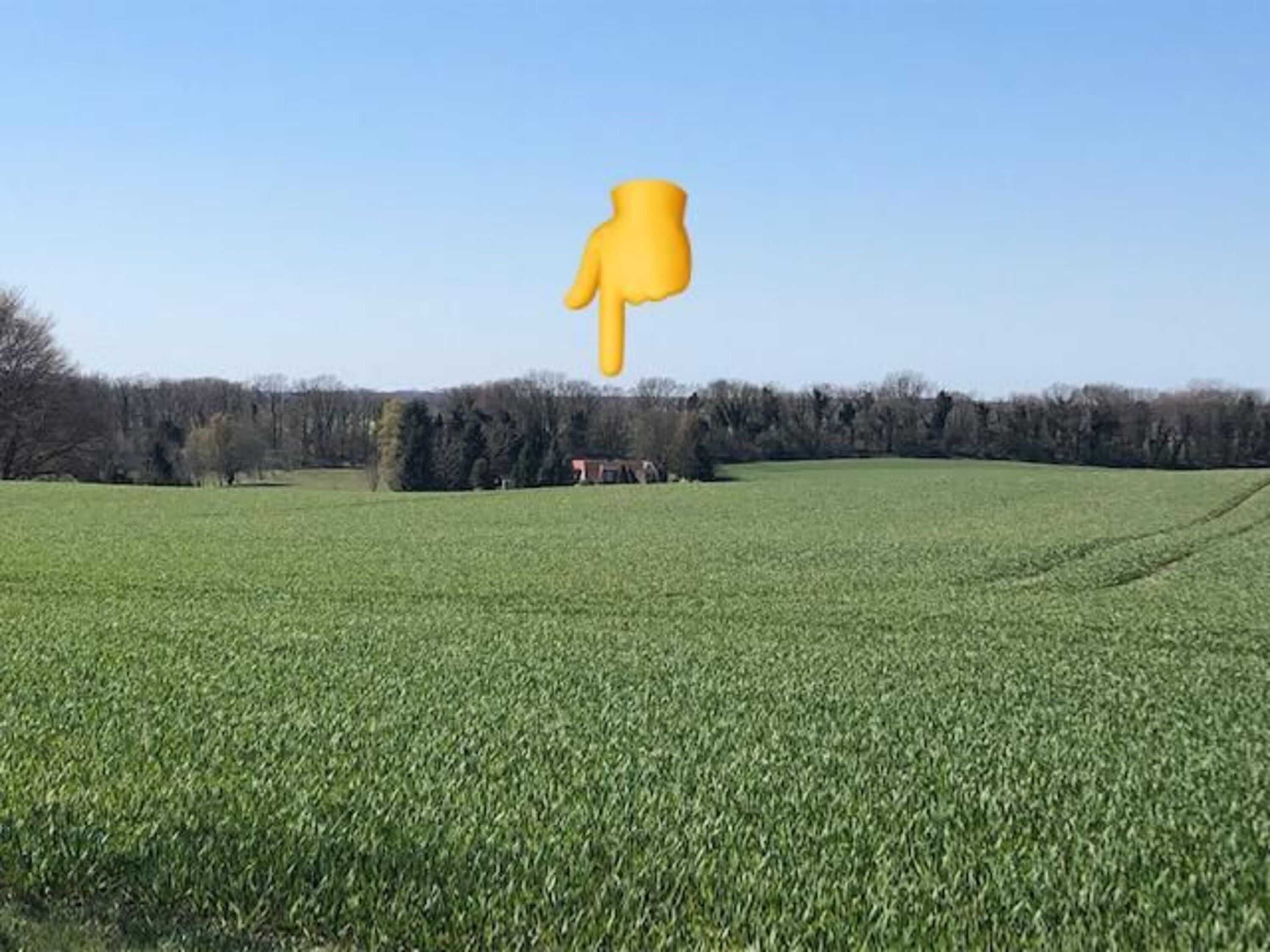 völlige Alleinlage