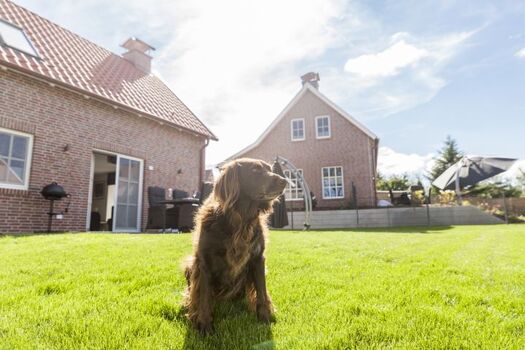 Eingezäunter Garten mit Terrasse