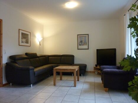 neue Lederlandschaft mit großem TV