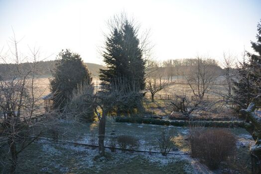 Morgendliche Winterstimmung im Garten