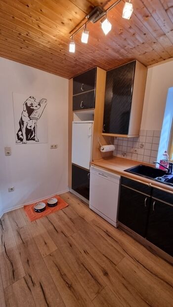 natürlich sind in jeder Wohnung Näpfe vorhanden