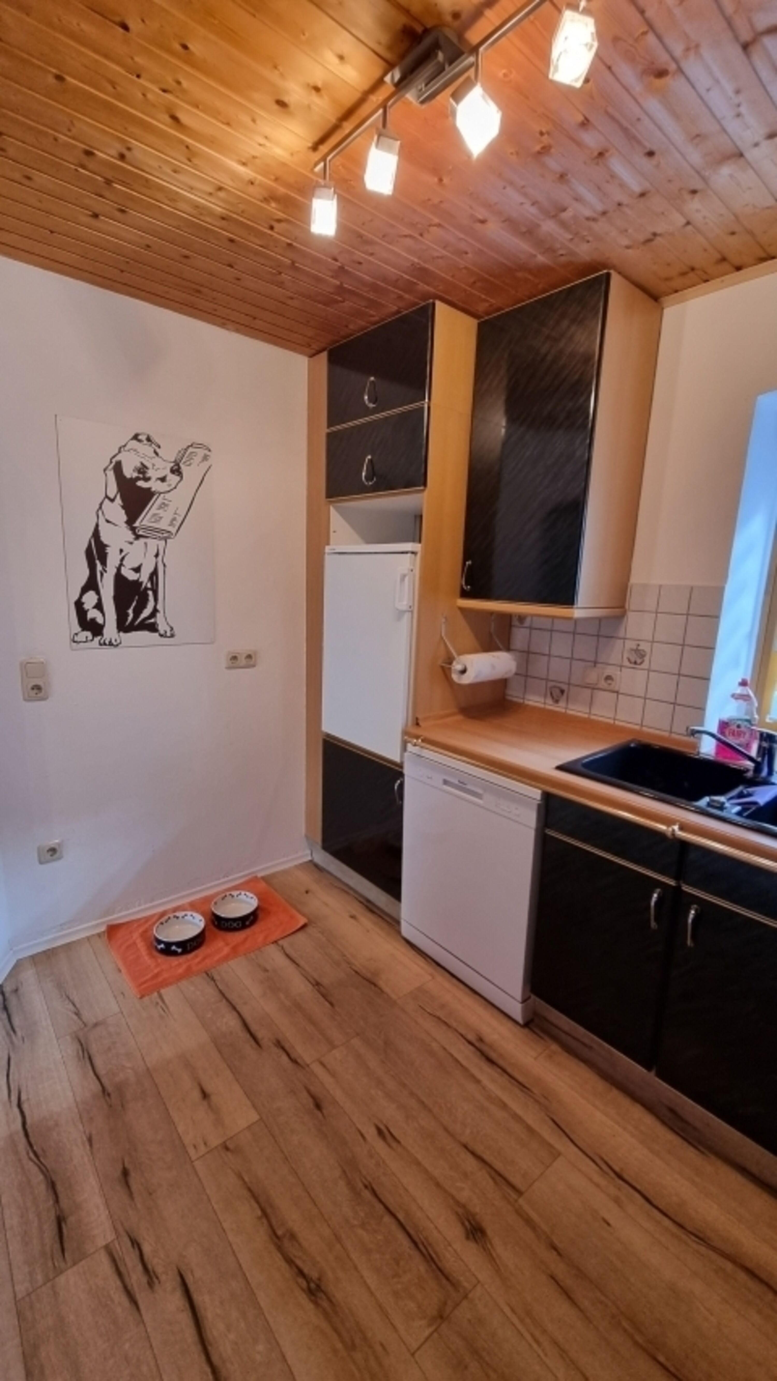 natürlich sind in jeder Wohnung Näpfe vorhanden