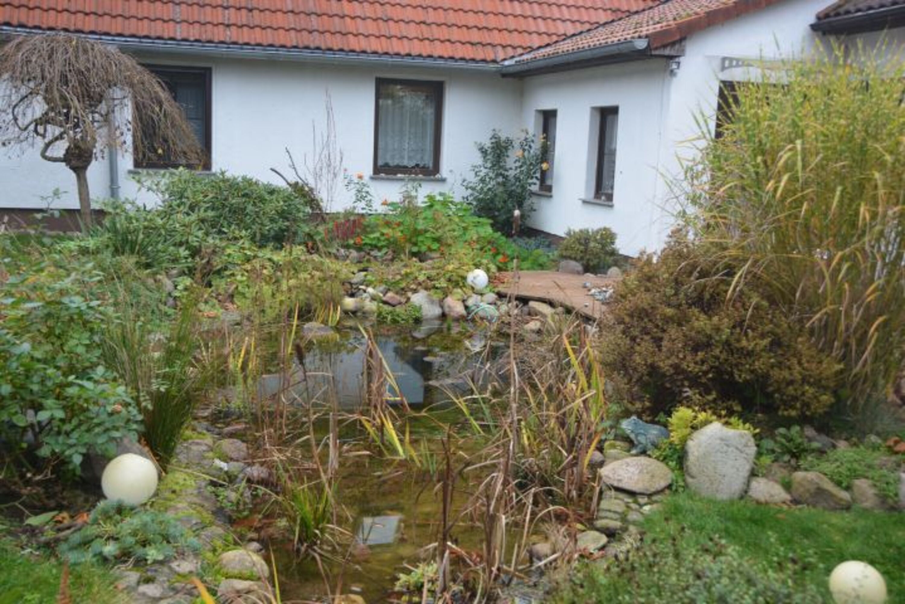 Blick in den Garten