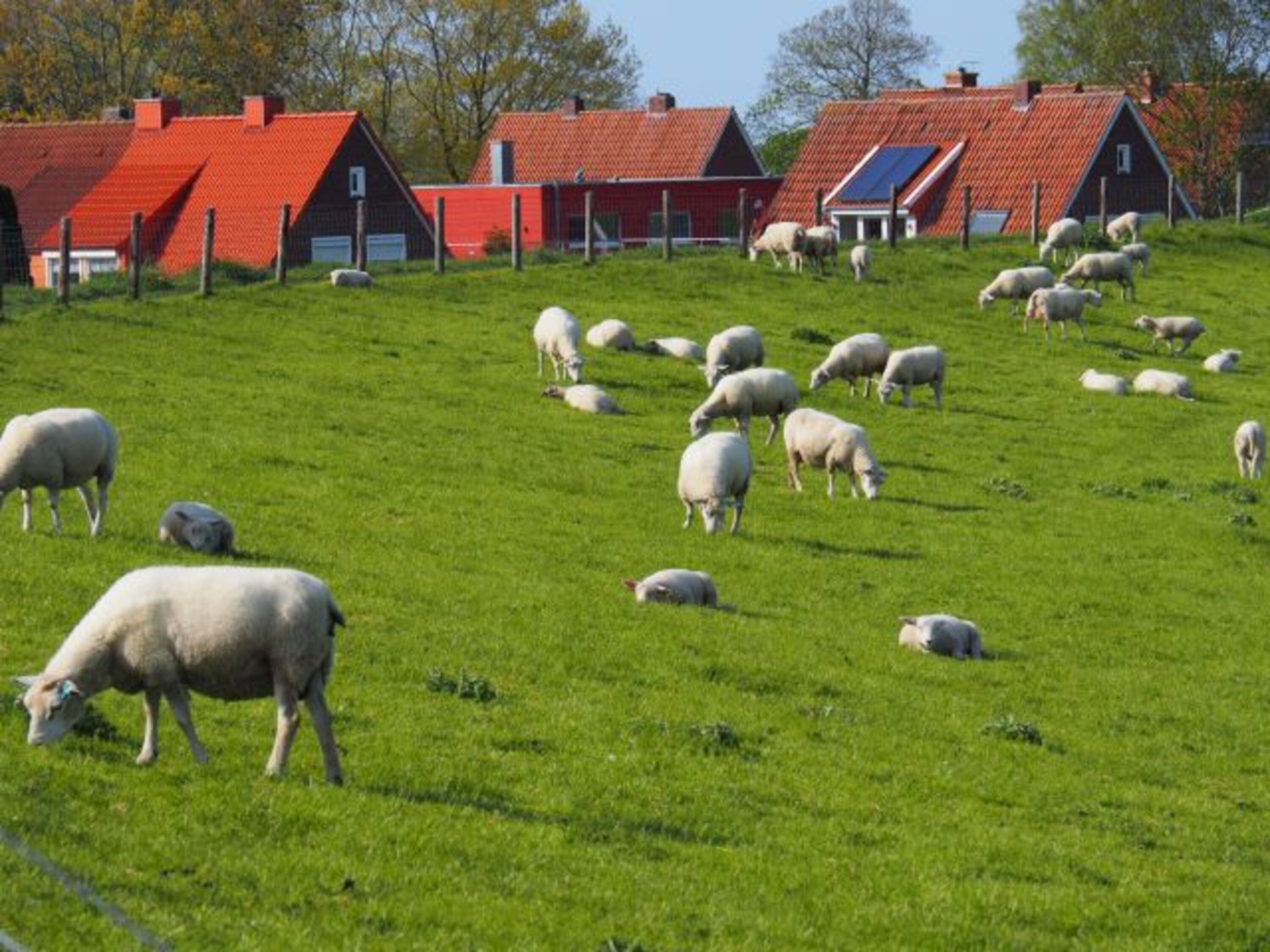 Unsere Häuser am Deich