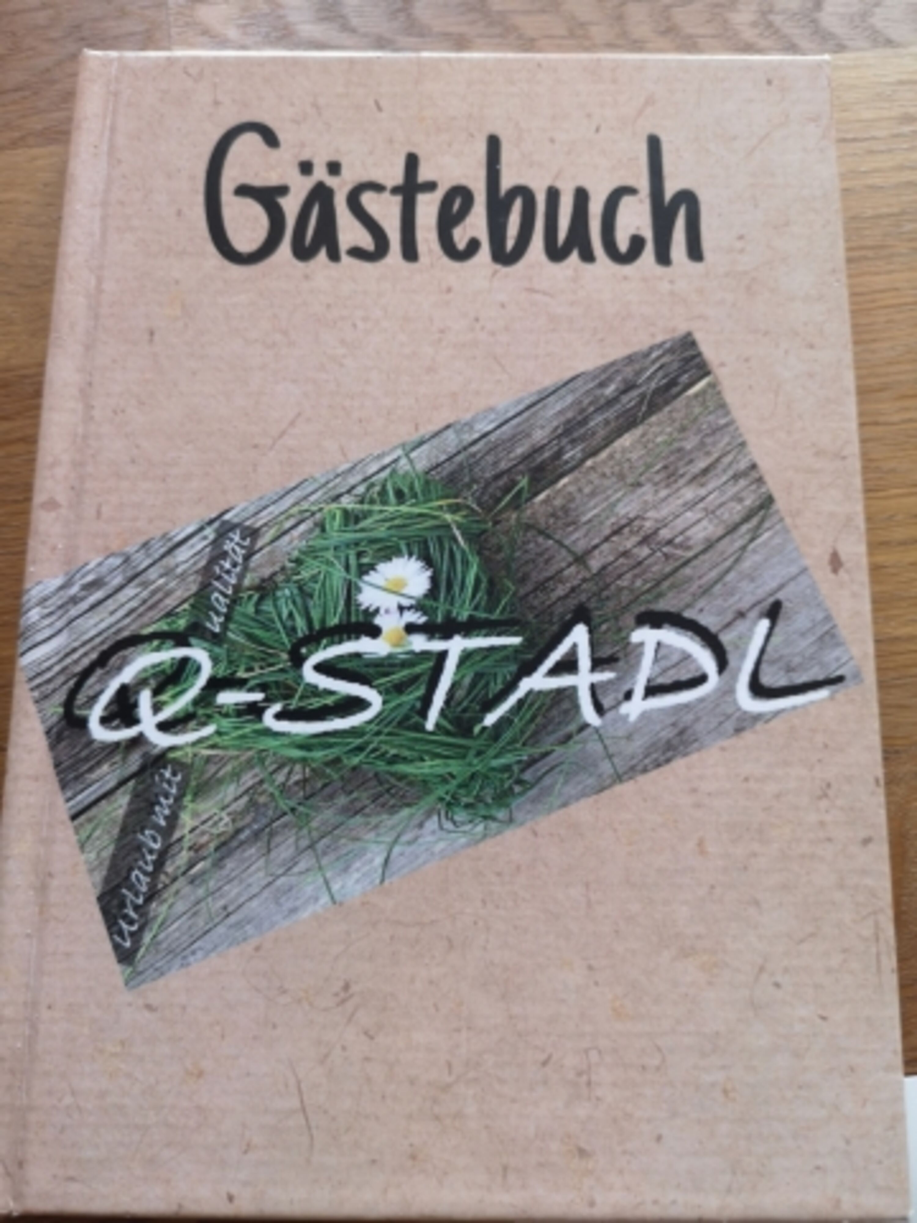 Bild 15