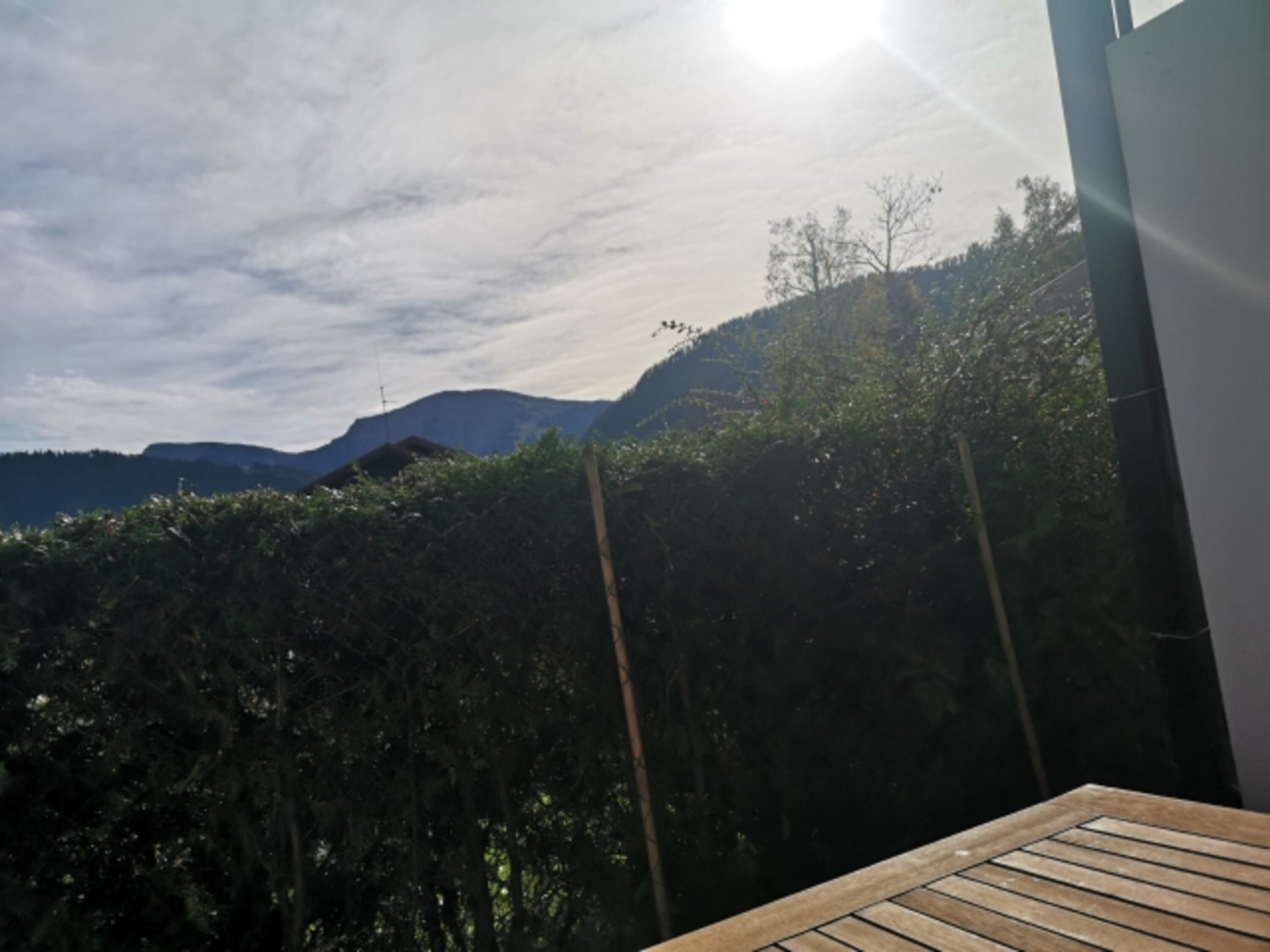 Ausblick im sommer