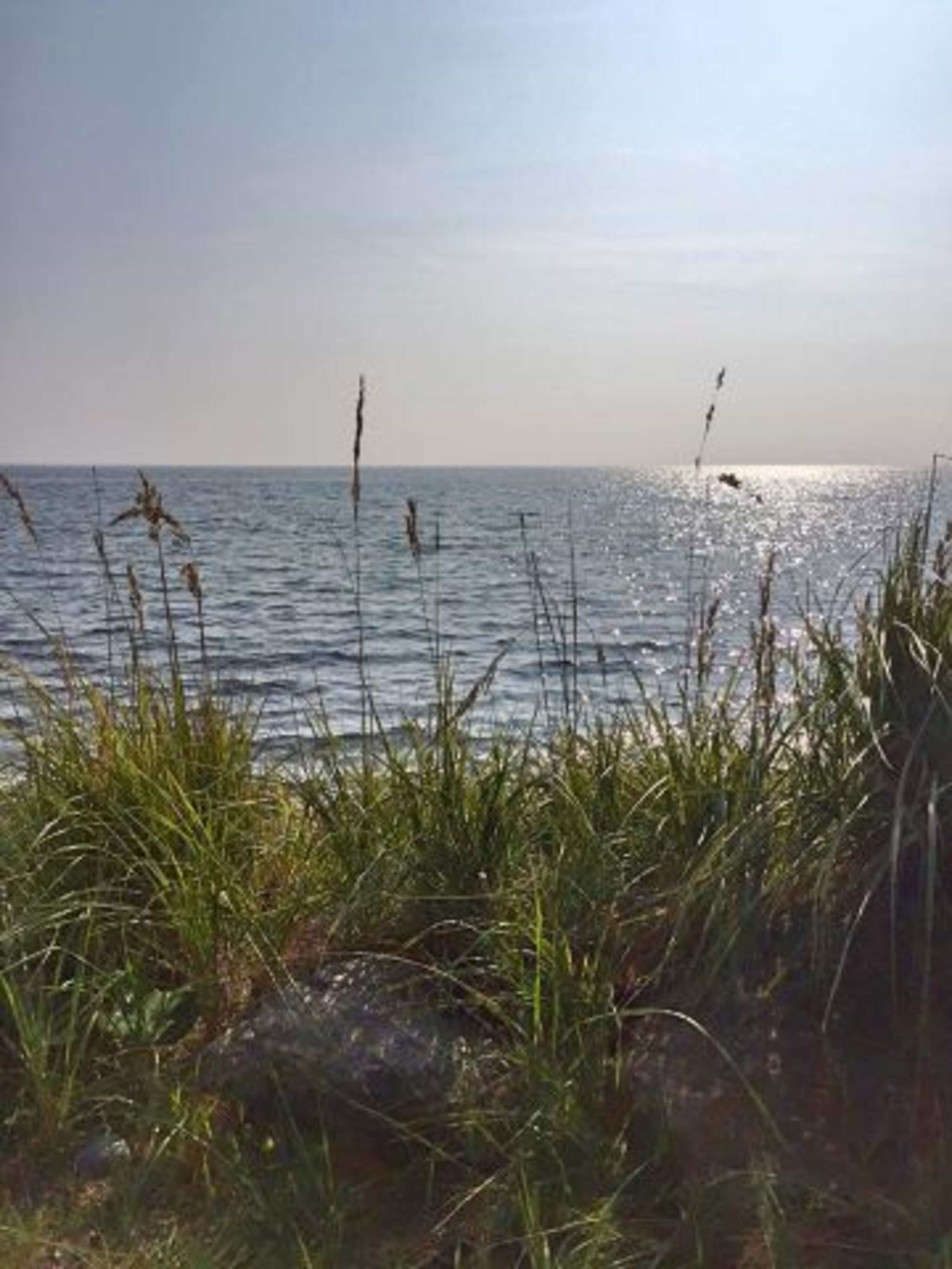 Bild 18