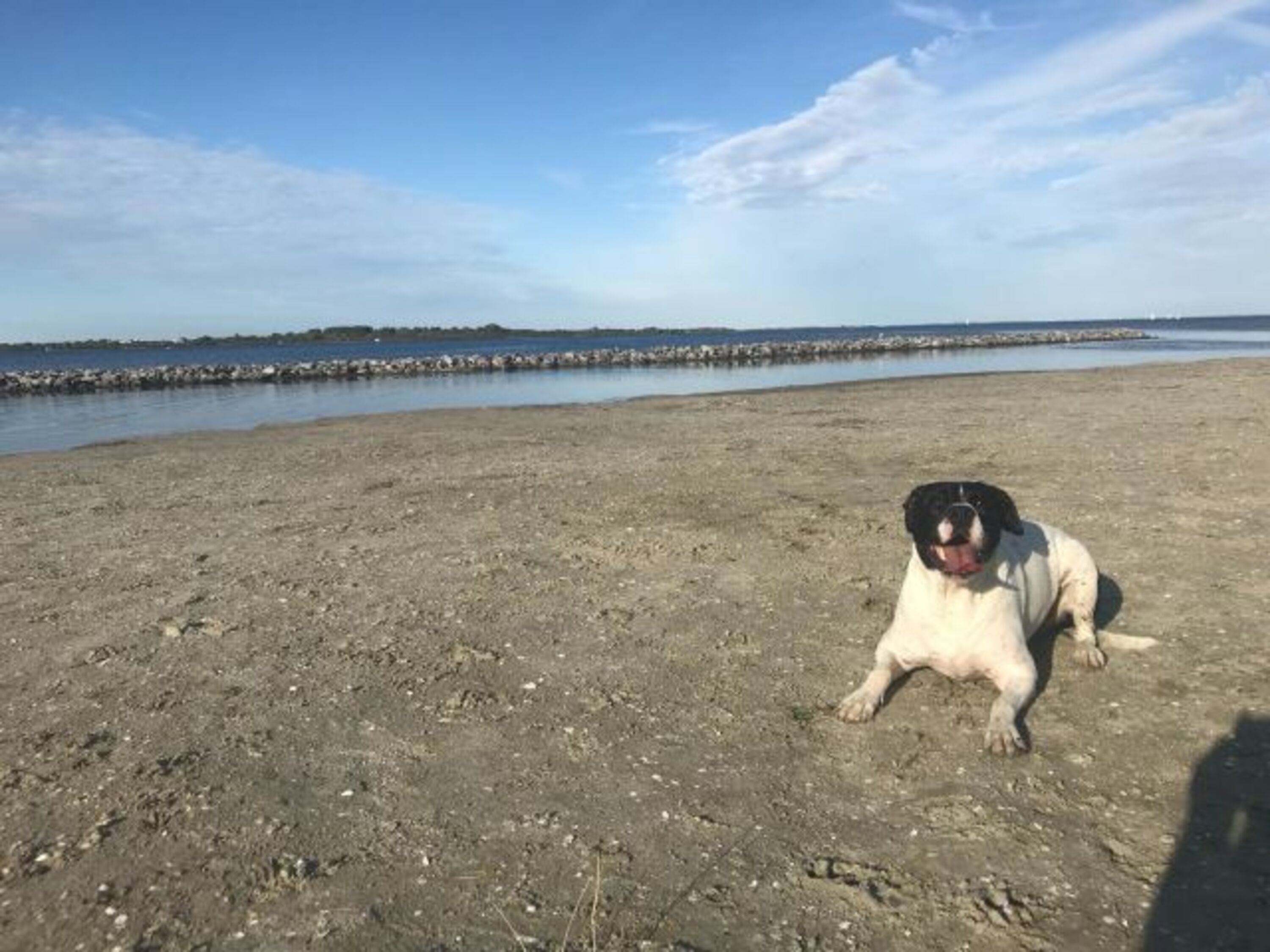 Hundenstrand auf 900 m