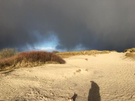 Auch wenn die Sonne nicht scheint, ein Naturerlebnis