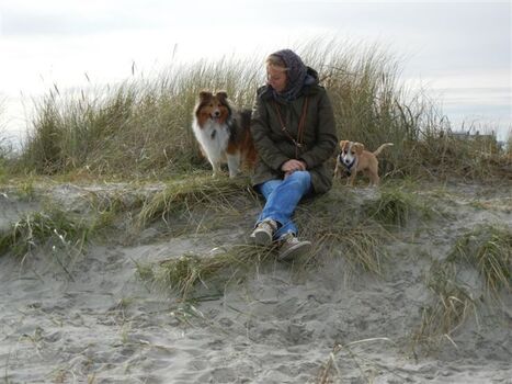 Lust auf Meer und Strand